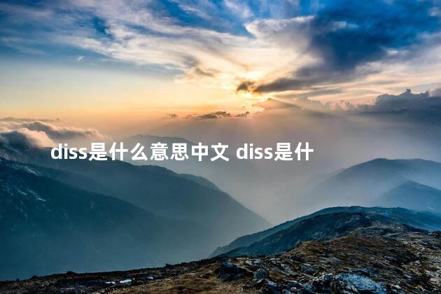 diss是什么意思中文 diss是什么意思网络热词